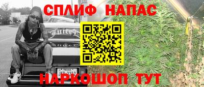 стафф Аргун