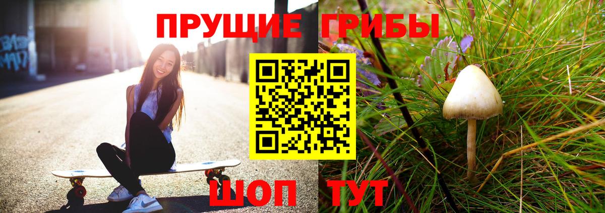Псилоцибиновые грибы прущие грибы Берёзовский